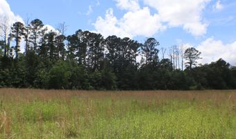 Vine Drive, Brandon, MS 39047
