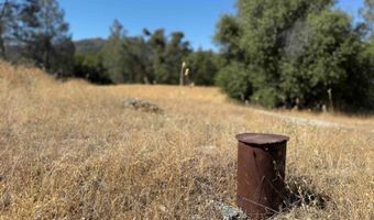 41902 Woodward Way, Ahwahnee, CA 93601