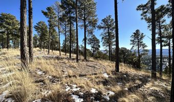 1601 Mechem Dr, Ruidoso, NM 88345