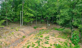 100 Block SPANISH MINE, Jessieville, AR 71909