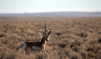 4900 E BIRD CREEK Rd Lot 8, Ely, NV 89301