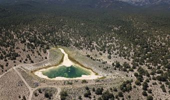 Segura & Fish Creek Ranch, Eureka, NV 89049