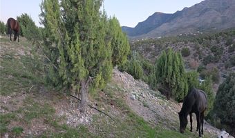 Bugling Bull Road, Cold Creek, NV 89124