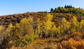 Trentaz Drive, Aspen, CO 81611