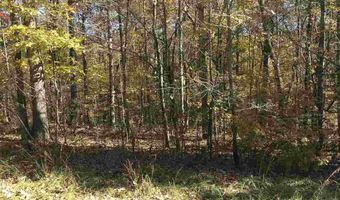0009 SPRINGHOLLOW Rd Lot 9, Ashville, AL 35953