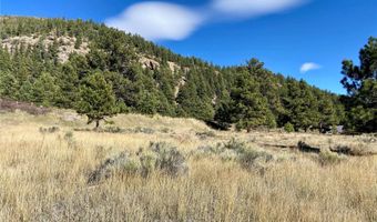 166 Lonesome Pine Dr, Antonito, CO 81120