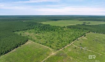 Green Town Road, Bay Minette, AL 36507