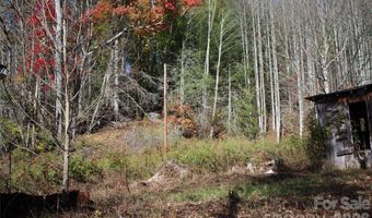 44 Toms Creek Rd, Bakersville, NC 28705