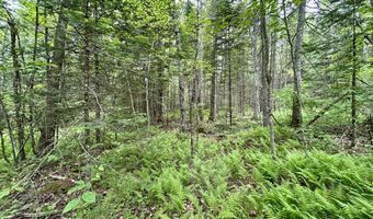 M5 L27-3 Marks Road, Albion, ME 04910