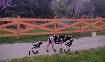 10463 Farm Road 1182, Aurora, MO 65605