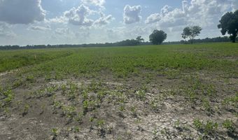 Oscar Rivette Road lot Tract 4, Arnaudville, LA 70512