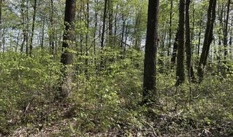 TBD McNair Road, Albright, WV 26519