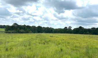 0003 Woody Pace Rd, Antlers, OK 74523