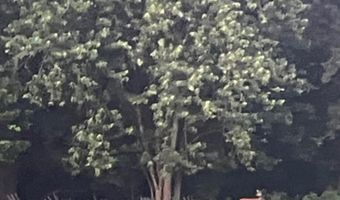 679 New Hope Church Rd, Barbourville, KY 40906