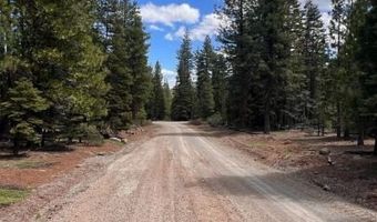 Reno Rd, Alturas, CA 96101