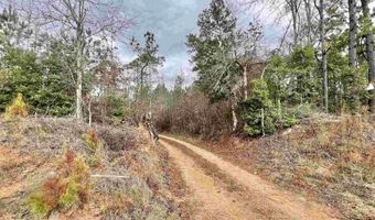 21000 Block Hwy 21, Beatrice, AL 36425