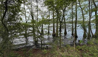Tract 1 East Bay Road, Atkins, AR 72823