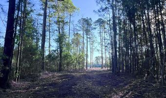 Jarvis Landing Road, Aurora, NC 27806