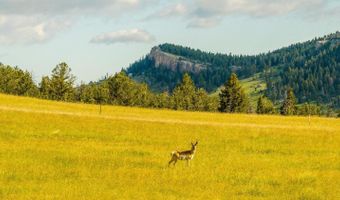 18 High Meadow Rd, Buffalo, WY 82834