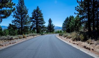 880 Stutler Creek Ct, Gardnerville, NV 89460