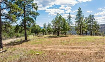 20861 Hwy 160, Bayfield, CO 81122
