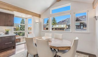 708 E Hyman Ave, Aspen, CO 81611