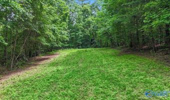 Unit # 0 Murphree Valley Road, Altoona, AL 35952