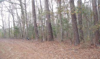 5563 Mauss Hill Rd, Adams Run, SC 29426