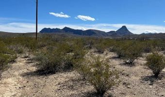 31466 Ringtail Rd, Alpine, TX 79830