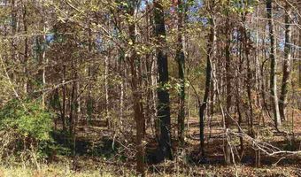 SPRINGHOLLOW ROAD lot 11, Ashville, AL 35953