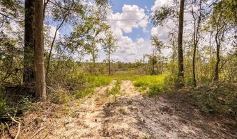R53358 Tract 1 HWY 94, Apple Springs, TX 75926