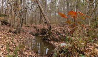 Maddox Road, Ackerman, MS 39735