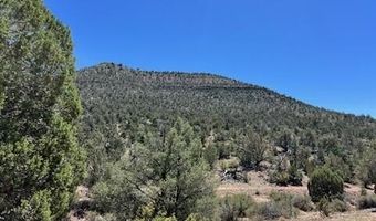 307 Off Of Old Deputy Shortline, Ash Fork, AZ 86320