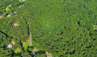 173 Hogan Pond Ln, Ball Ground, GA 30107