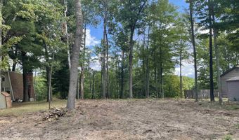 S Forest Lake Drive, Alger, MI 48610
