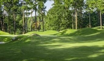 4502 Greenside Walk, Austell, GA 30106
