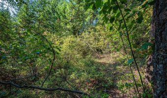 NKA Silver Creek Road, Clark Fork, ID 83811