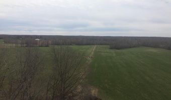 3855 SULPHUR CREEK Rd, Big Sandy, TN 38221