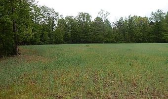 15252 27 Mile Rd, Albion, MI 49224