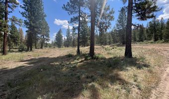 Bufflehead Drive, Bonanza, OR 97623