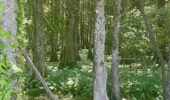 Bolivar Road, Benoit, MS 38725