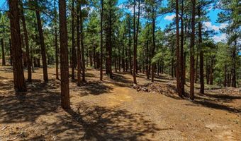 23251 Elk Trl, Aguilar, CO 81020