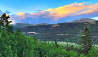 1095 Quartzville Rd, Alma, CO 80440