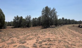 164 Rattlesnake Rd, Ash Fork, AZ 86320