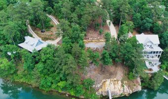 RON THAMES Rd lot 13, Arley, AL 35541
