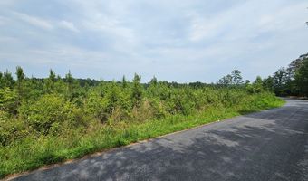 Penlan lot 3, Arvonia, VA 23004