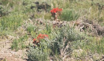 COS 947 Tract 11, Belfry, MT 59008