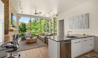 101 Willits Way 205, Basalt, CO 81621