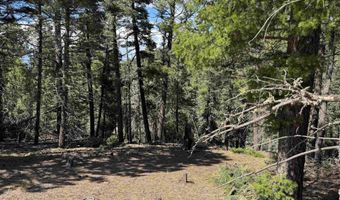 El Vado Way lot 1662, Angel Fire, NM 87710