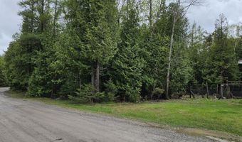 2460 Hamilton Rd, Alpena, MI 49707